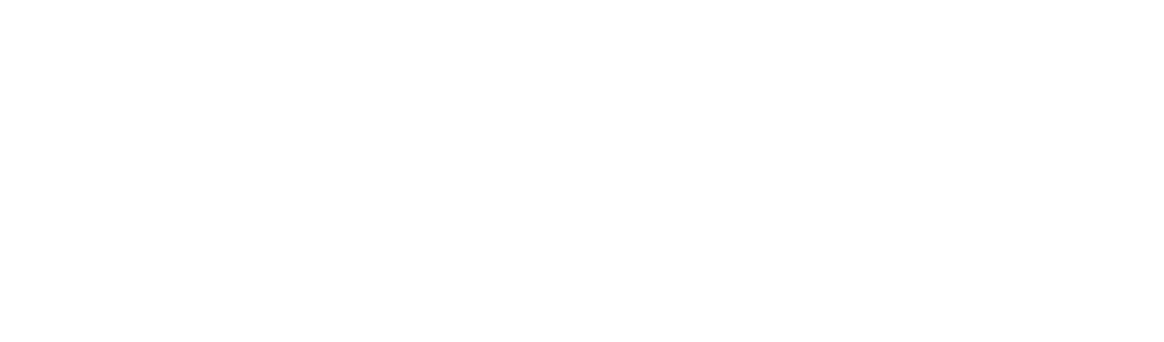 Bitácora Alta Dirección