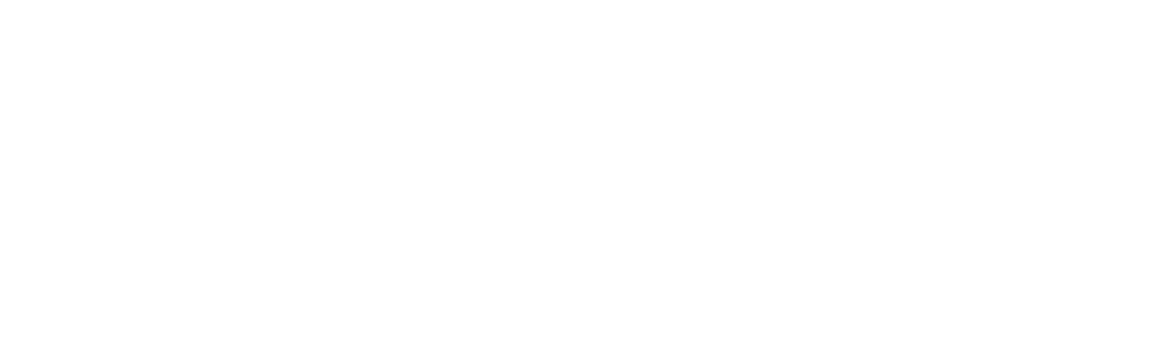 Bitácora Alta Dirección